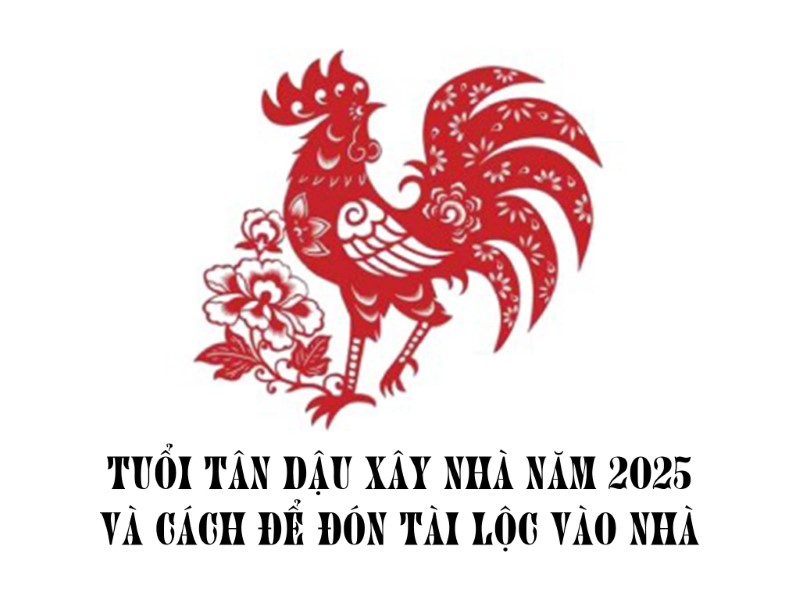 Những Dự Đoán và Lời Khuyên Về Việc 1994 Xây Nhà Năm 2025