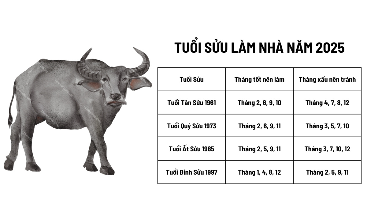Tuổi 1987 Xây Nhà Năm 2025 - Cơ Hội Vàng Cho Sự An Cư