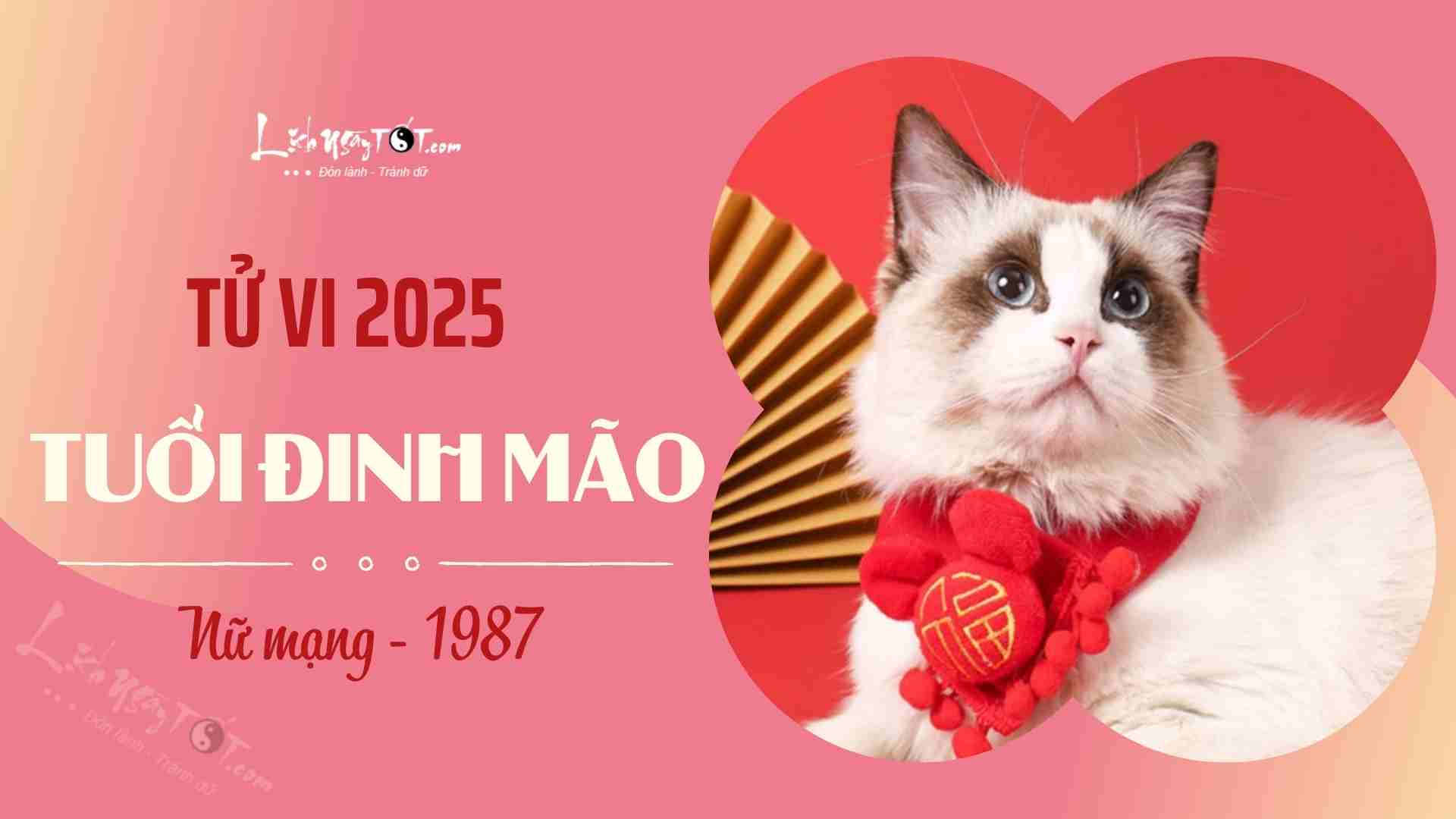 Tuổi 1987 Xây Nhà Năm 2025 – Cơ Hội Vàng Cho Sự An Cư