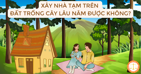 Xây Nhà Trên Đất Trồng Cây Lâu Năm – Hướng Dẫn Toàn Diện