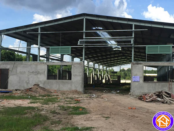 Xây Nhà Trên Đất Trồng Cây Lâu Năm – Hướng Dẫn Toàn Diện