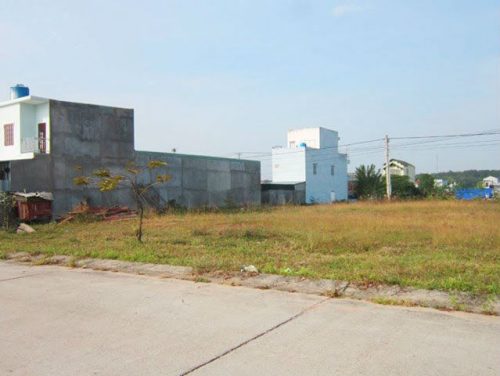Xây Nhà Trên Đất Trồng Cây Lâu Năm – Hướng Dẫn Toàn Diện