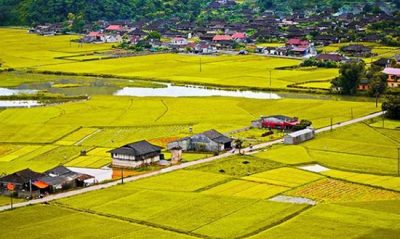 Xây Nhà Trên Đất Trồng Cây Lâu Năm – Hướng Dẫn Toàn Diện