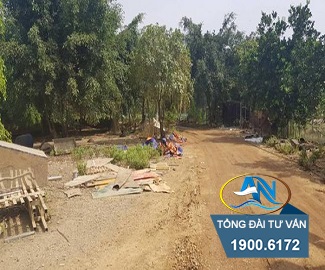 Xây Nhà Trên Đất Trồng Cây Lâu Năm – Hướng Dẫn Toàn Diện